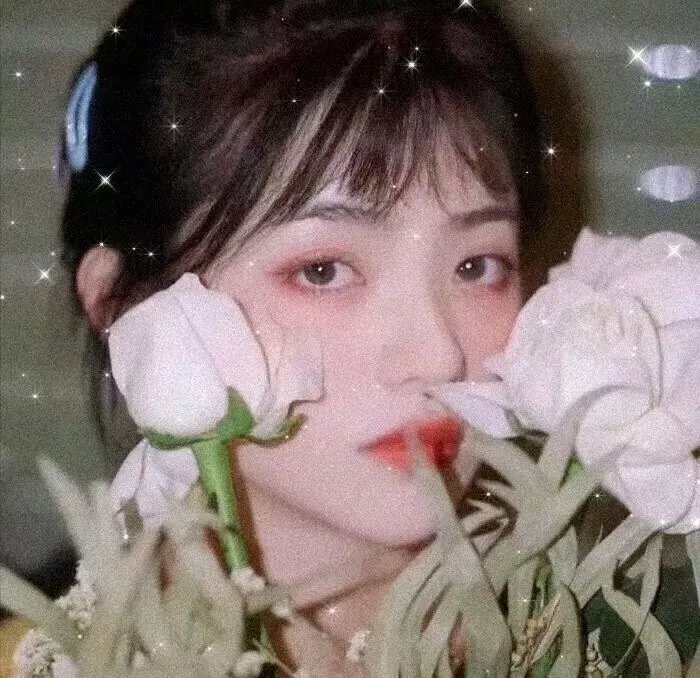 冬天的小苍蝇